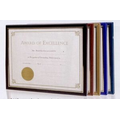 Economy Certificate Frame